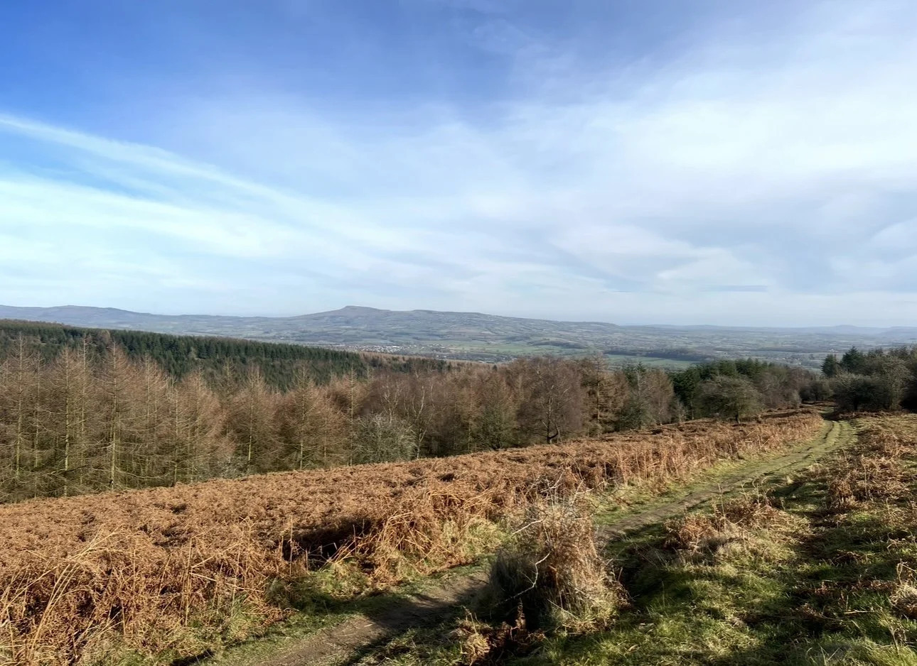 The Shropshire Hills seen from the edge of Mortimer Forest