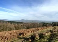 Three walks that start at the front door
